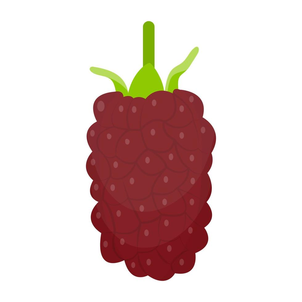 Trendy Loganberry Concepts vector