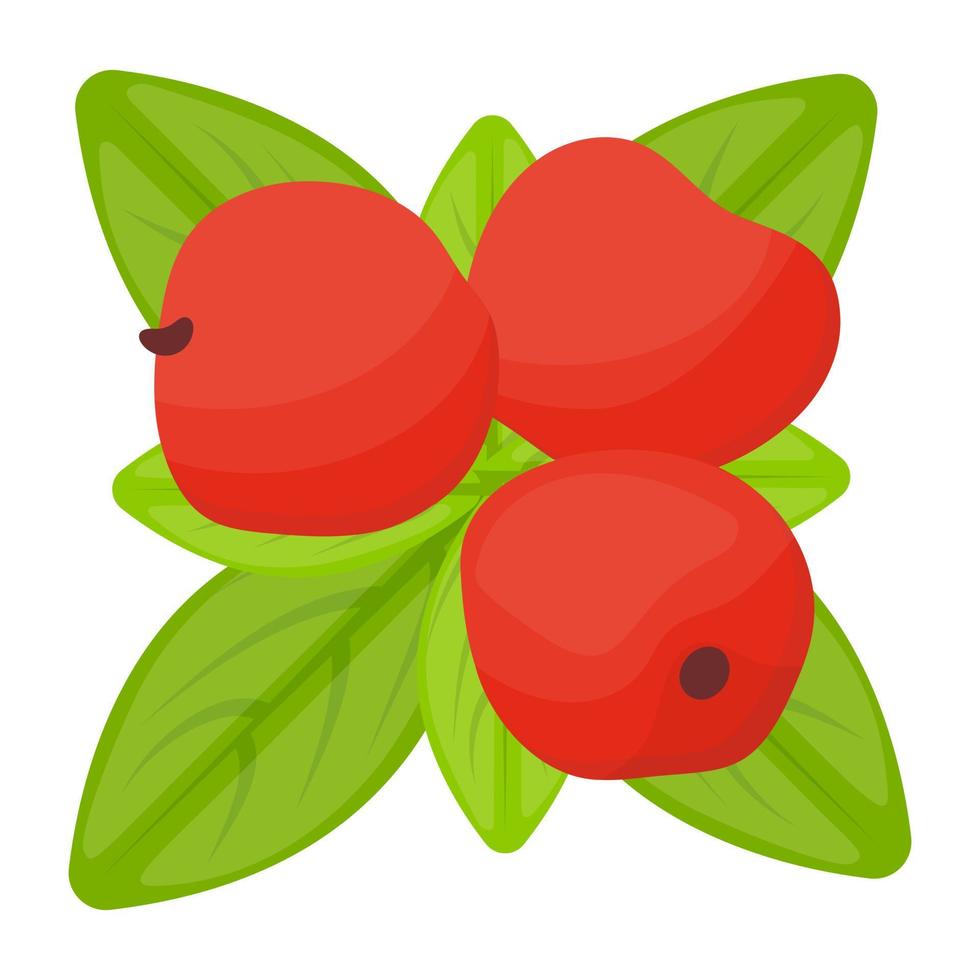 Trendy Lingonberry Concepts vector