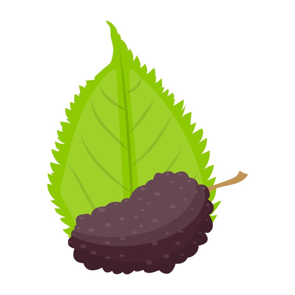 Black Raspberry Concepts vector