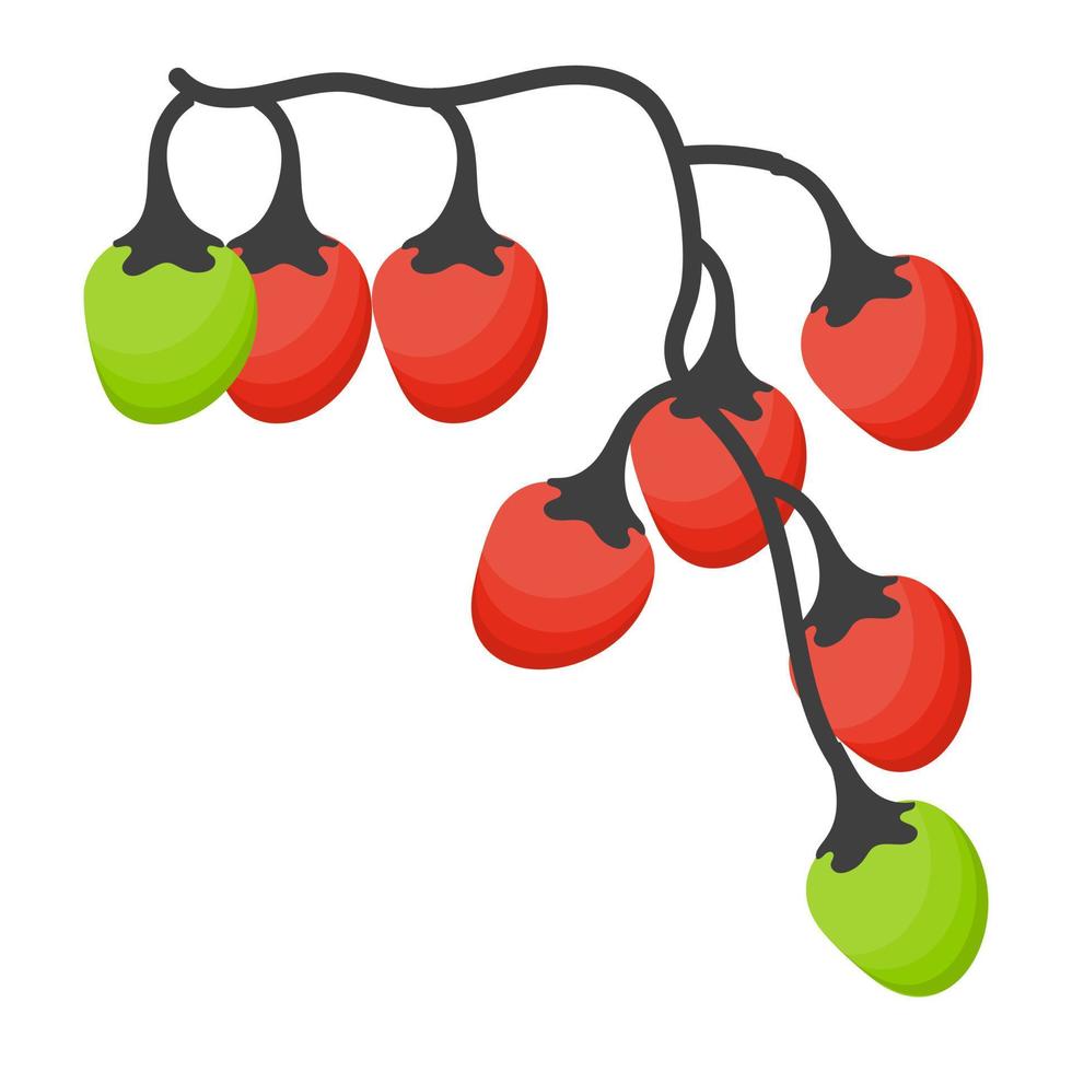 Winter Berries Concepts vector