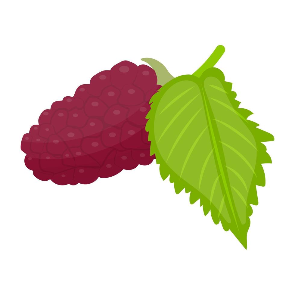 Red  Mulberry Concepts vector