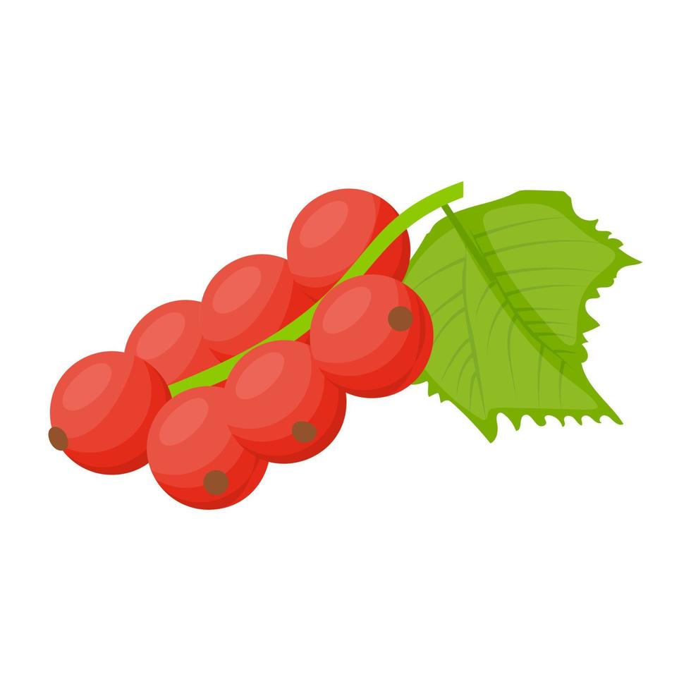 Trendy Lingonberry Concepts vector