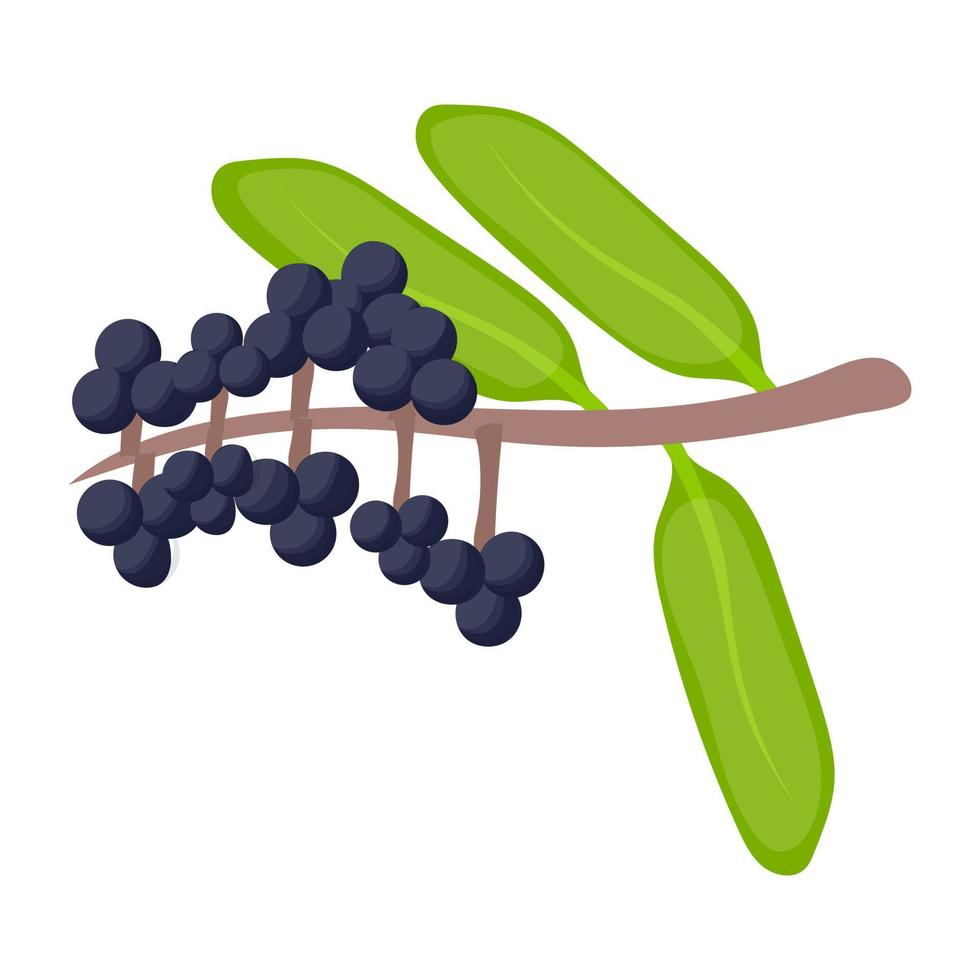 Trendy Elderberry Concepts vector