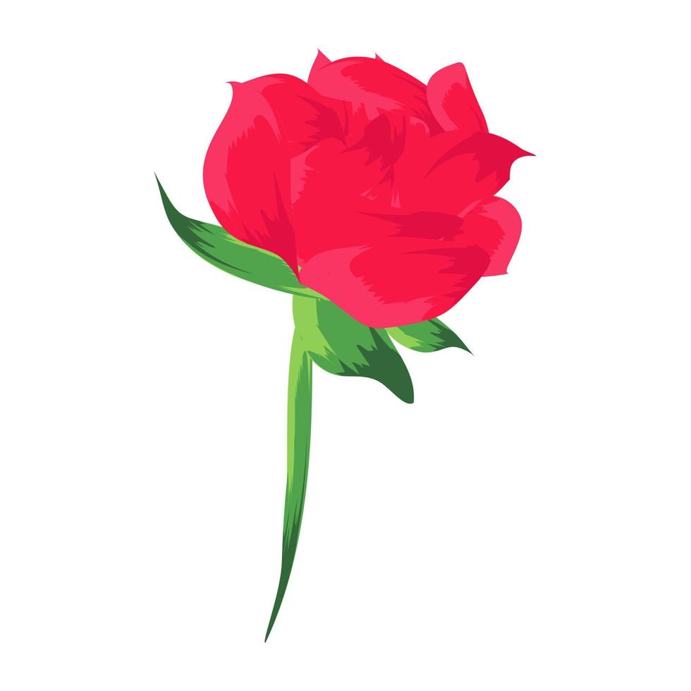 Rose Bud Concepts vector