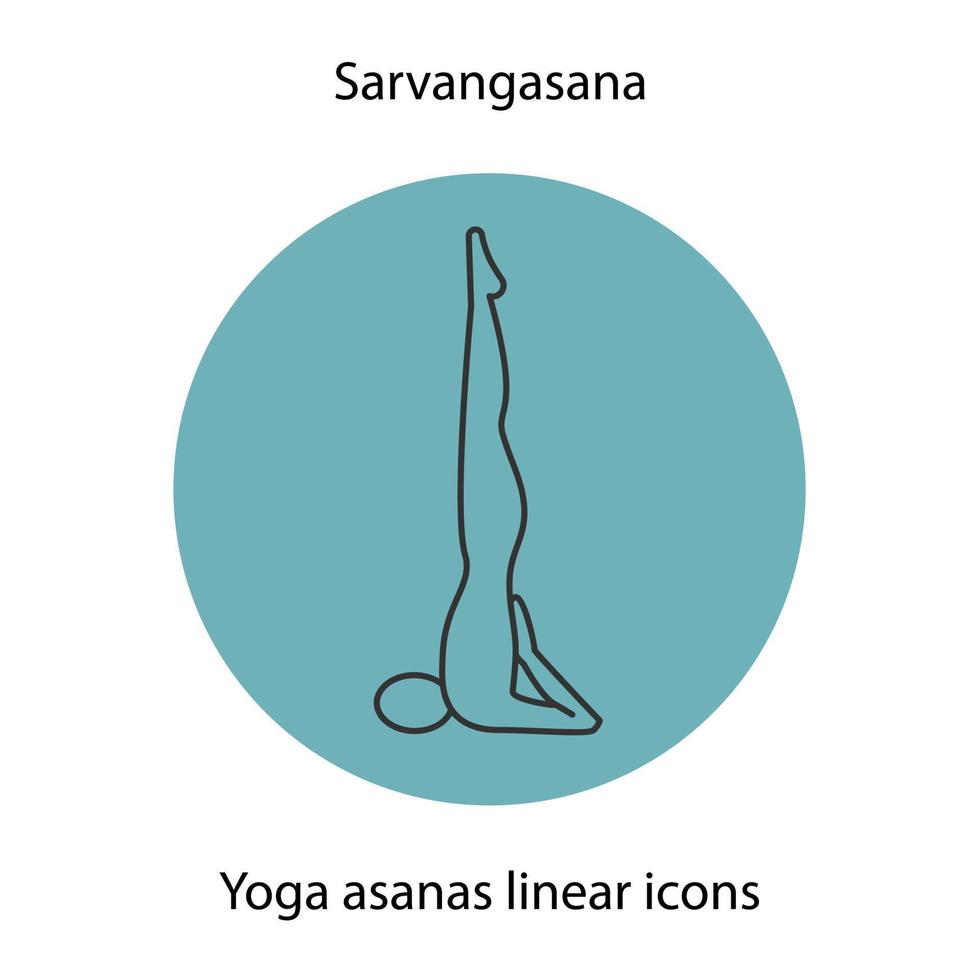 icono lineal de posición de yoga sarvangasana. Ilustración de línea fina. símbolo de contorno de asana de yoga. dibujo de contorno aislado vectorial vector