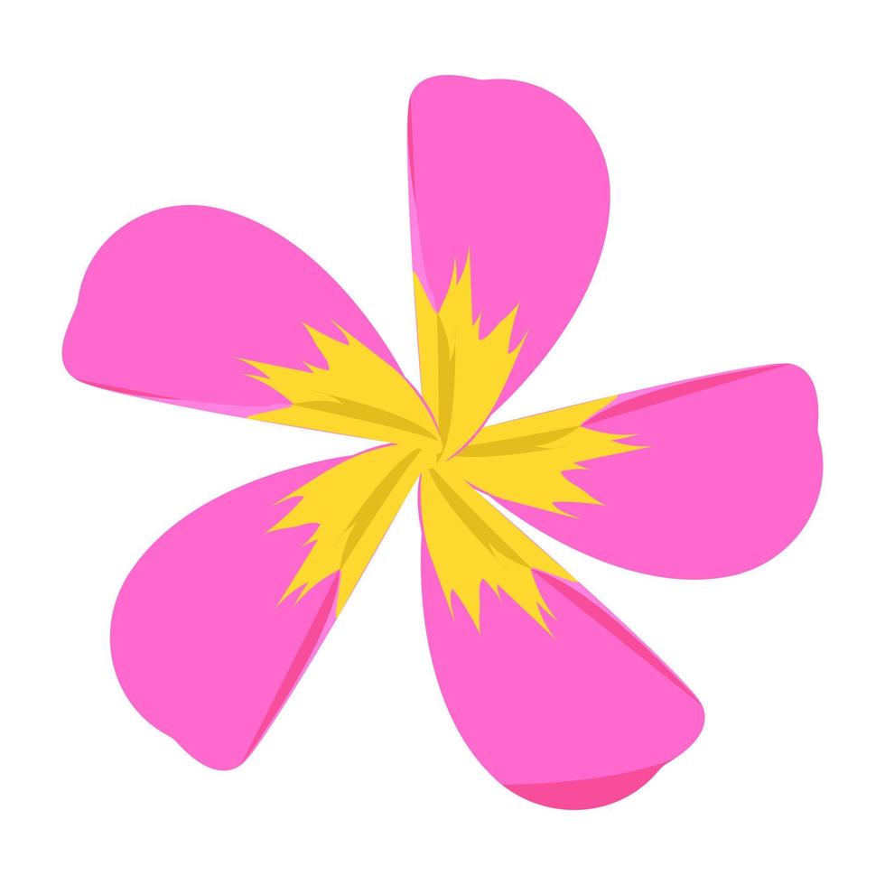 Lily Flower Concepts vector