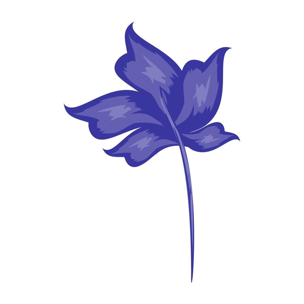 Primrose Willow Concepts vector