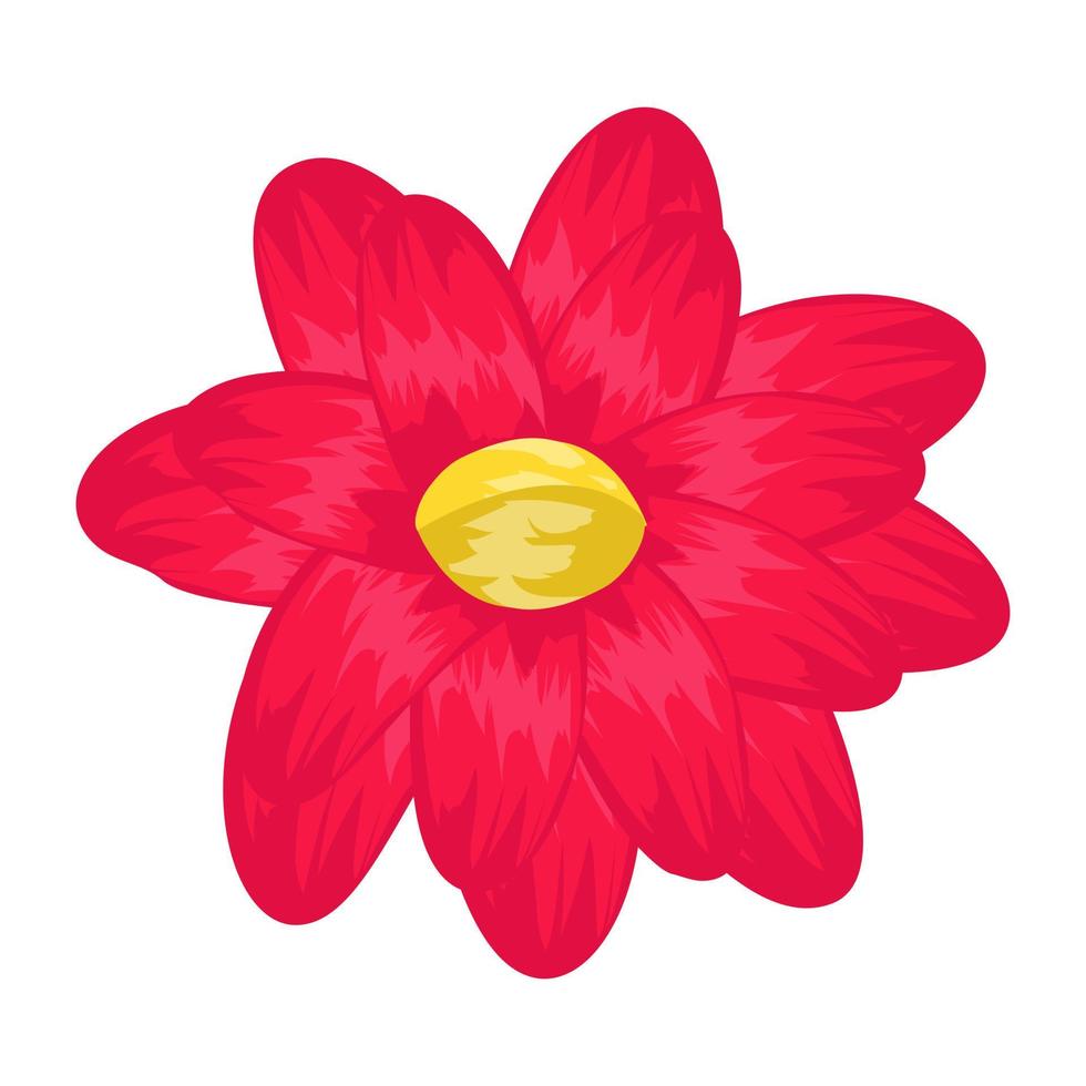 Anemone Flower Concepts vector