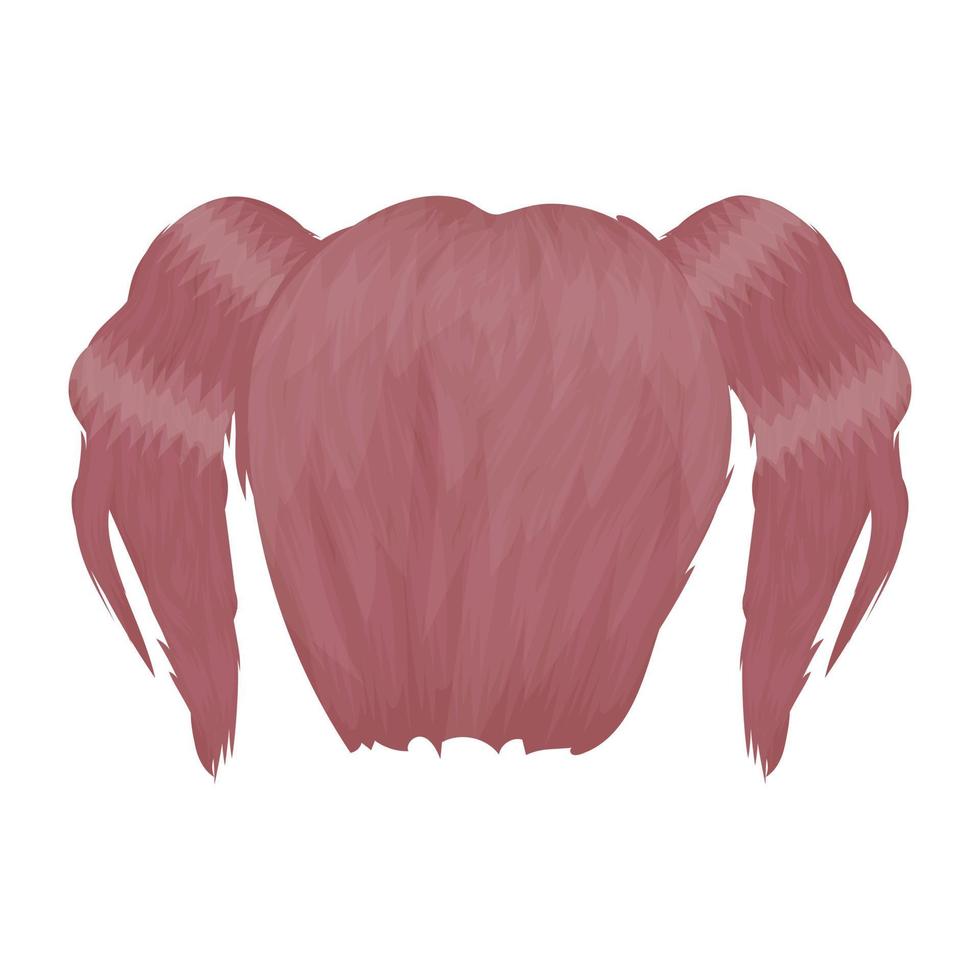 Pig Tail Concepts vector