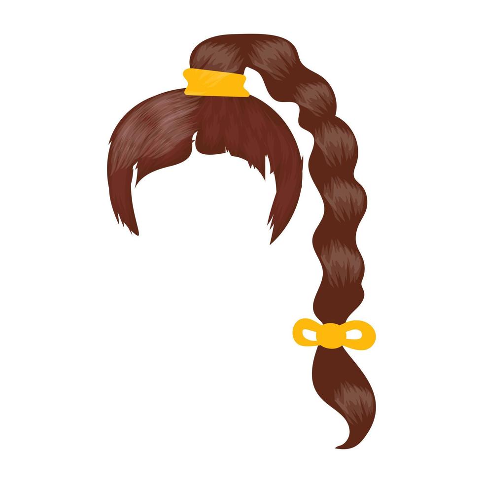 Long Braid  Concepts vector