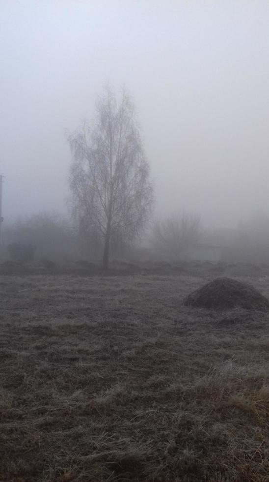 Morning fog in the countryside photo