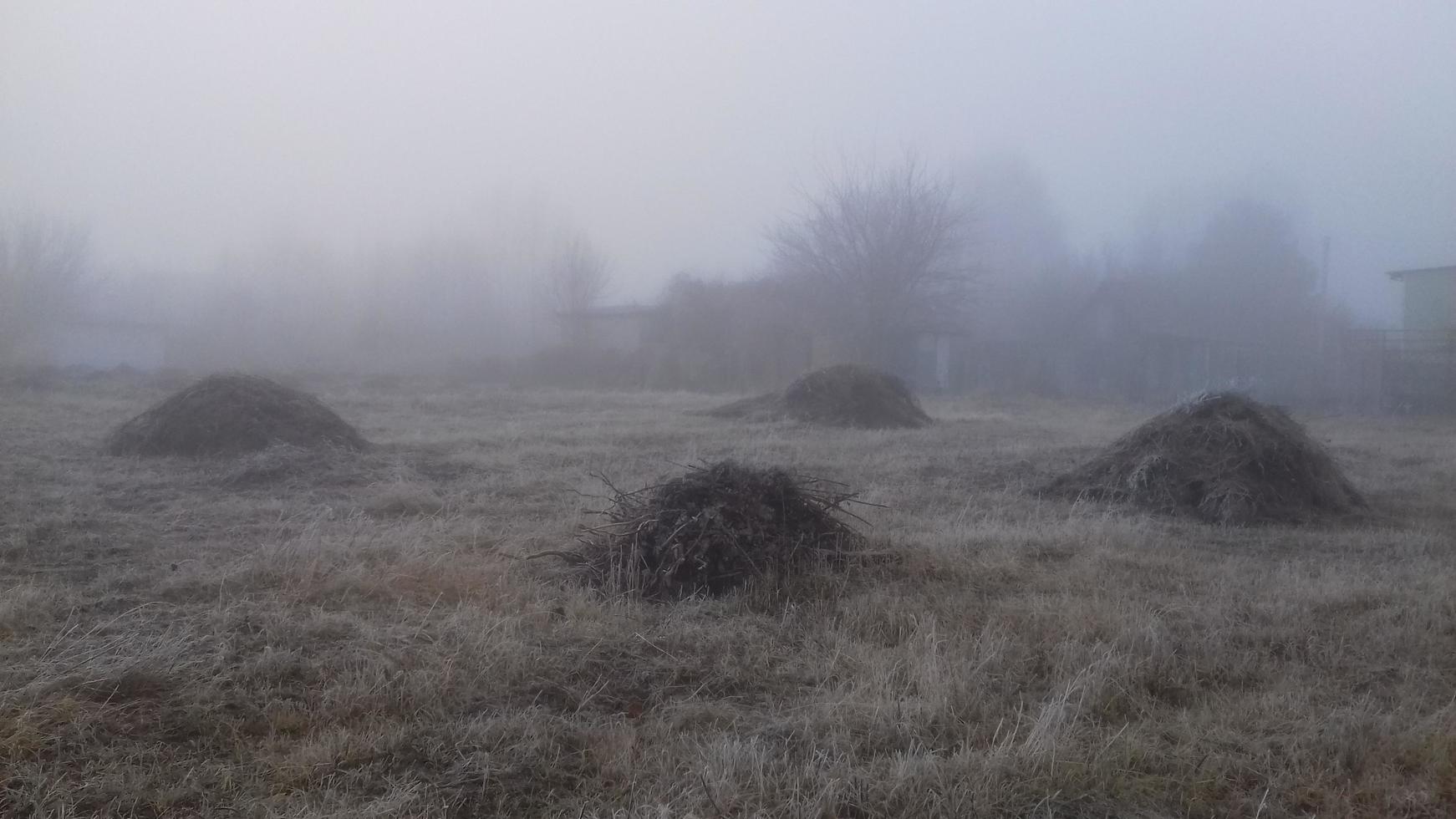 Morning fog in the countryside photo