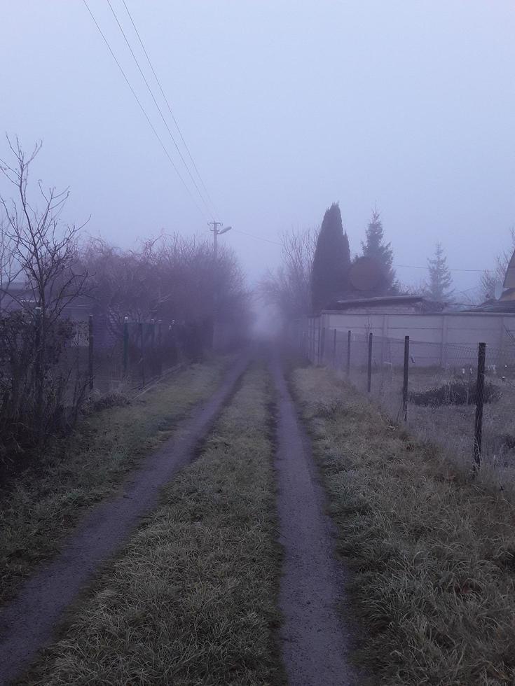 Morning fog in the countryside photo