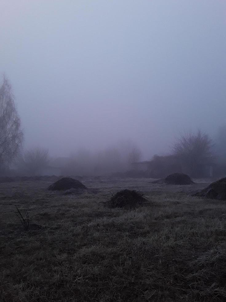 Morning fog in the countryside photo