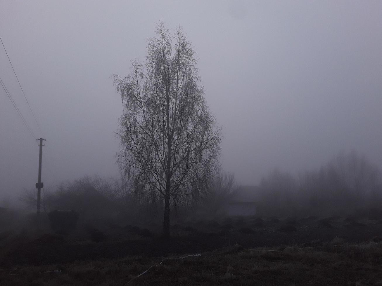 Morning fog in the countryside photo