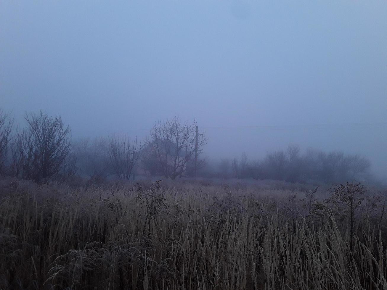 Morning fog in the countryside photo