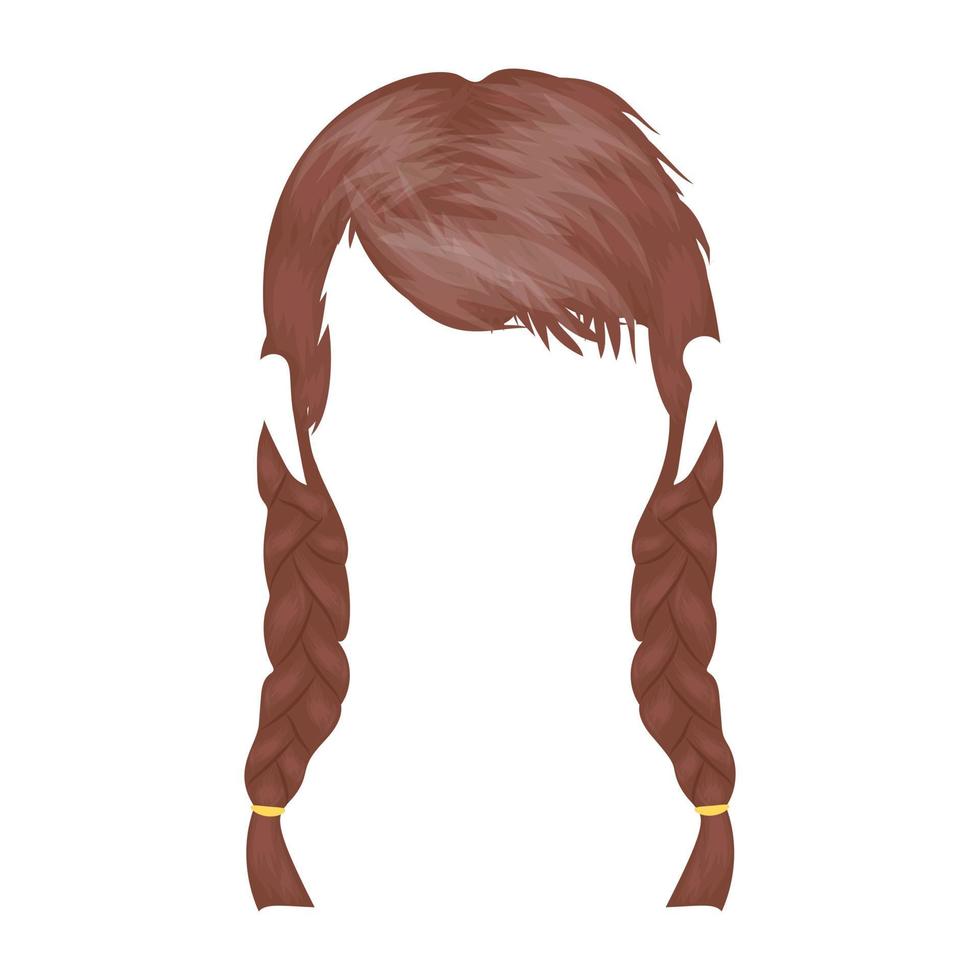 conceptos de doble trenza vector