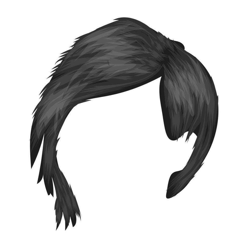Shag Hairs Concepts vector