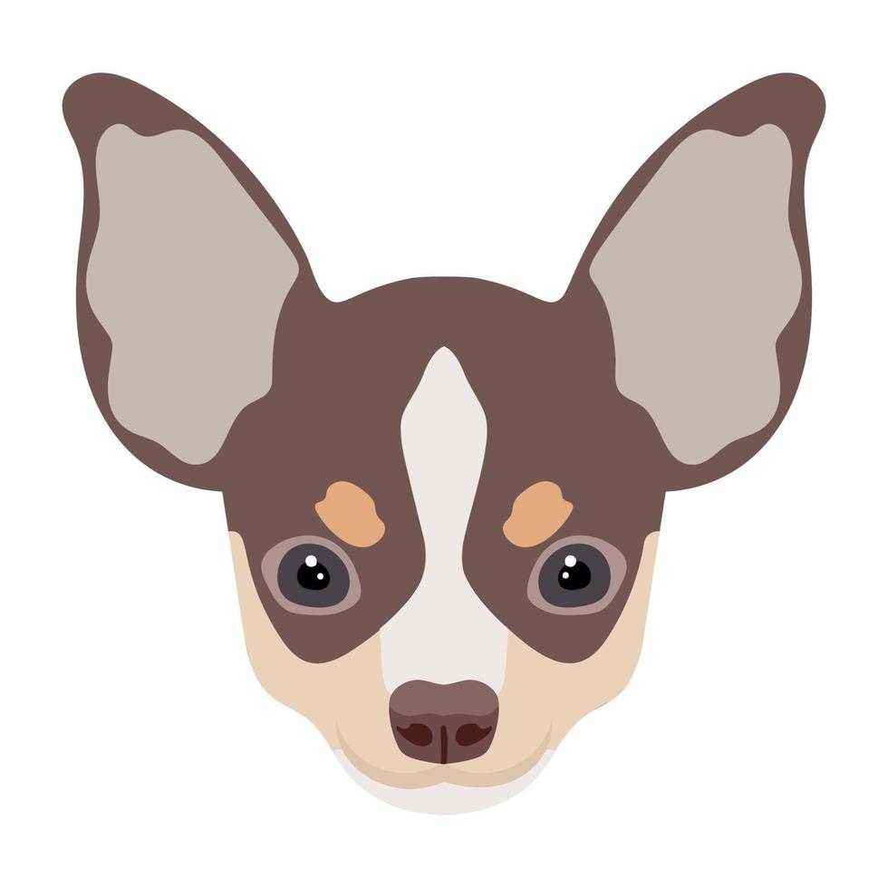 Trendy Chihuahua Concepts 4636402 Vector Art at Vecteezy