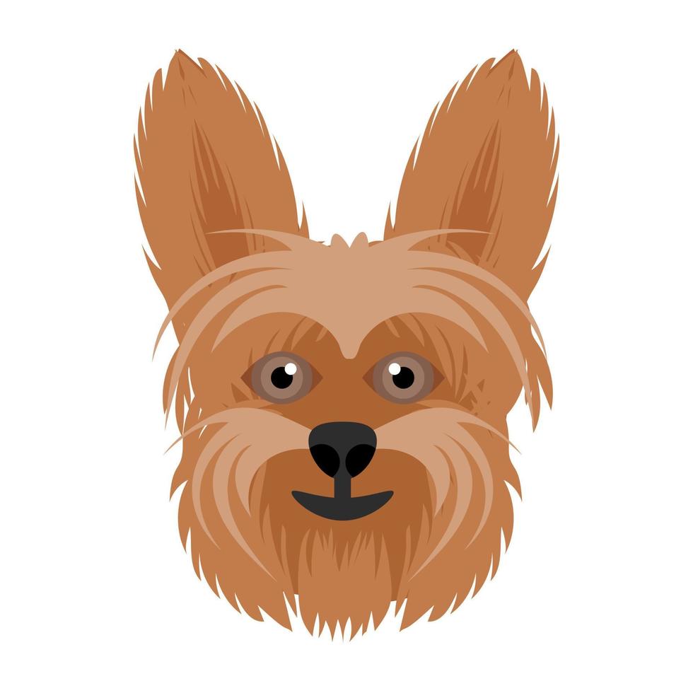 conceptos de moda pomerania vector