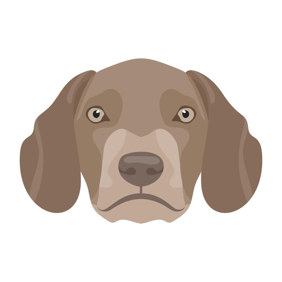 Trendy Beagle Concepts vector