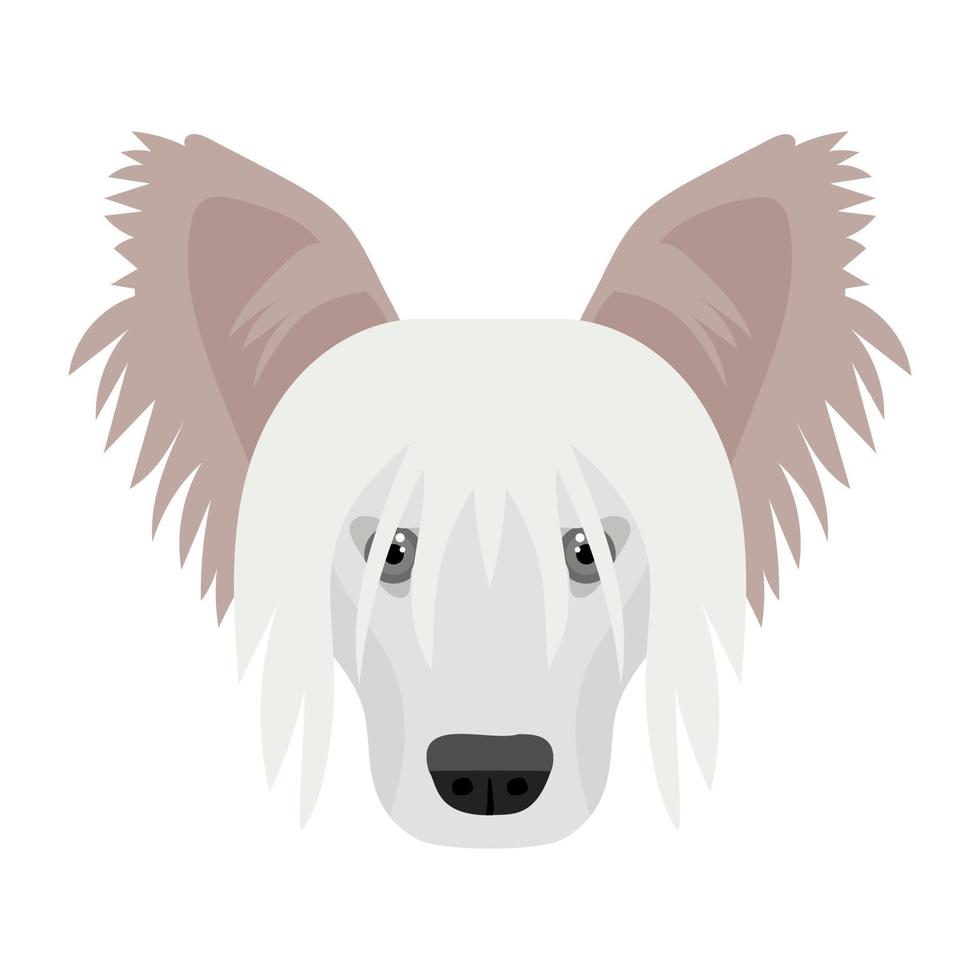 conceptos de perro pastor shetland vector