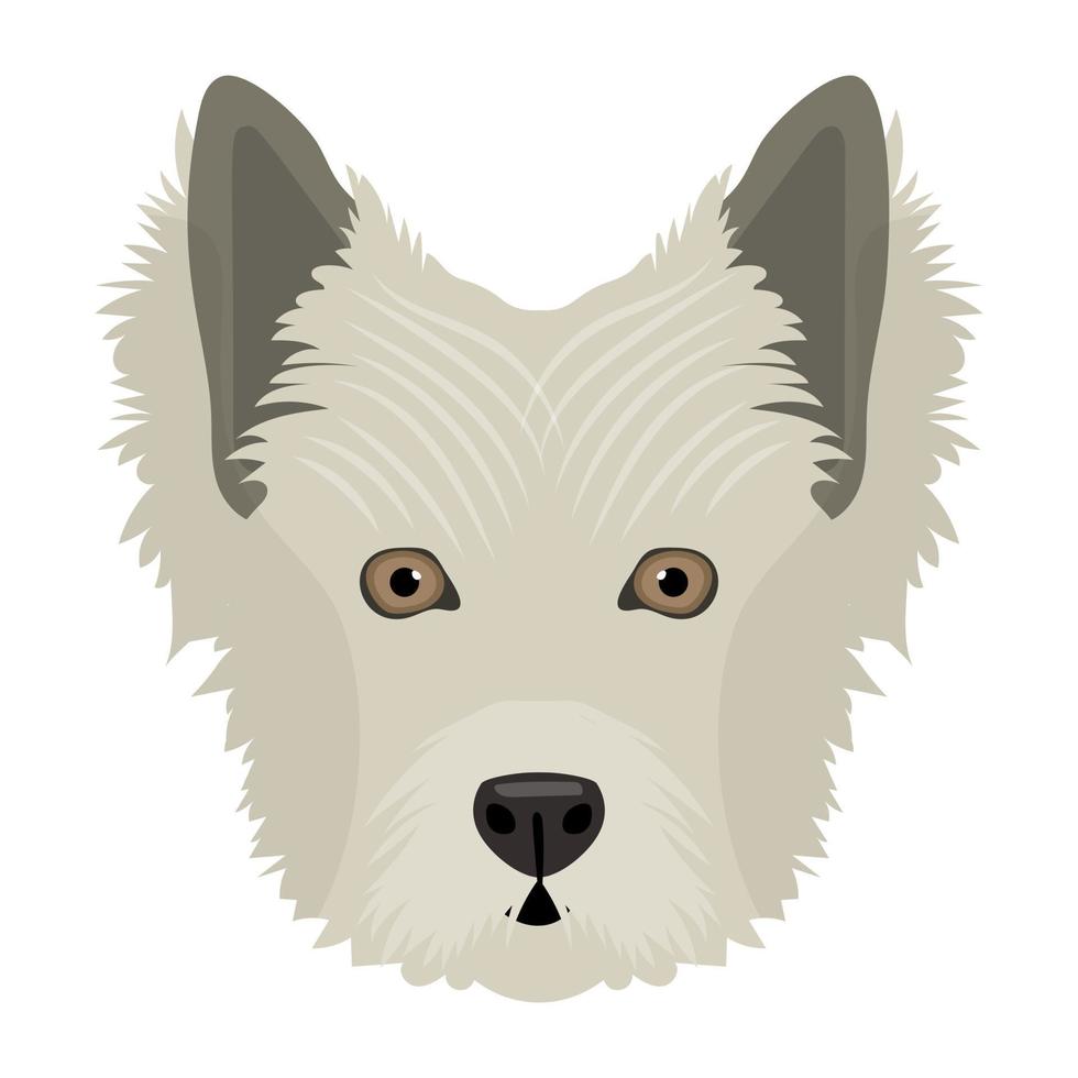 Siberian Husky Concepts vector