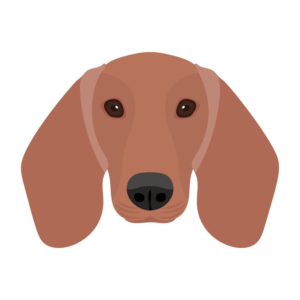 Trendy Beagle Concepts vector