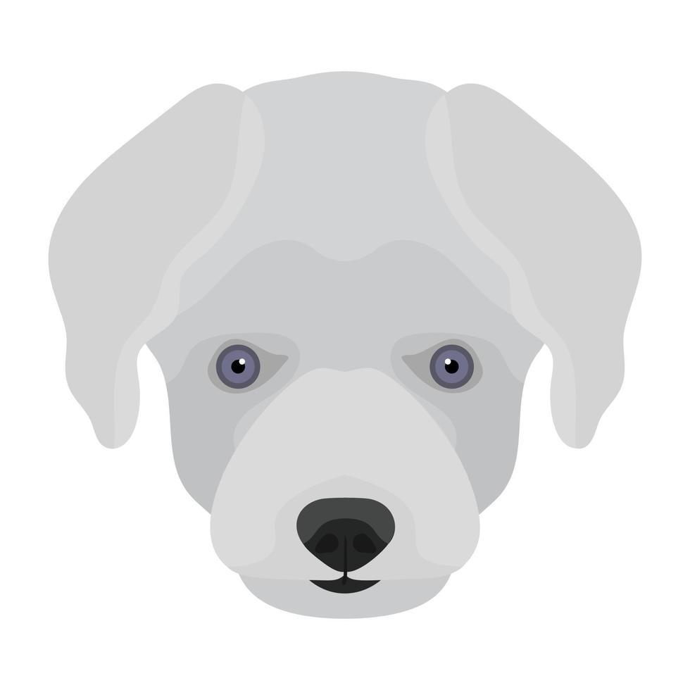 Maltese Dog Concepts vector