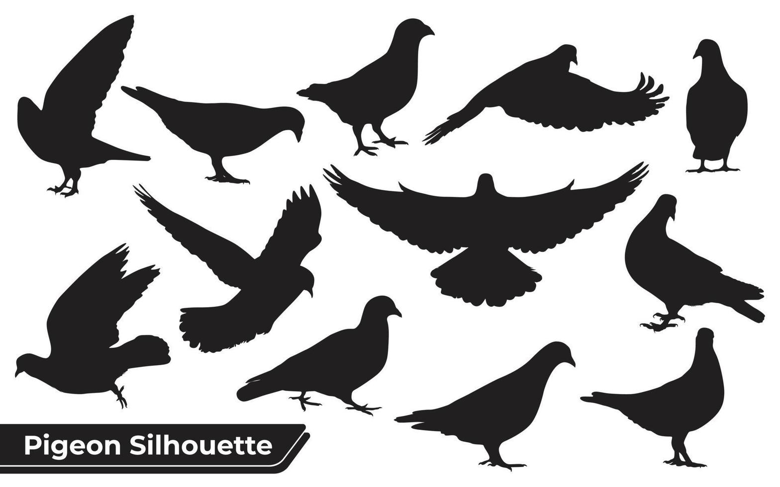 Collection of Pigeon silhouettes in different positions vector