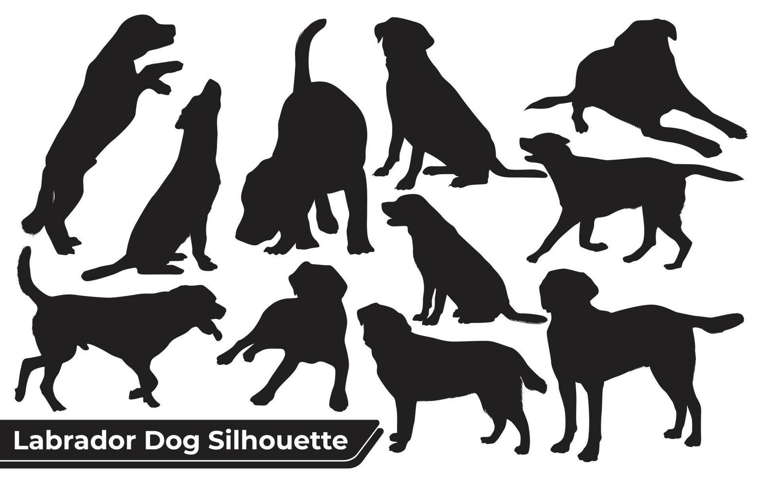 Colección de perro labrador animal en diferentes posiciones. vector