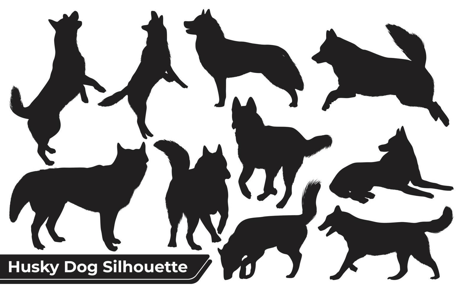 Collection of animal Husky Dog in different positions vector