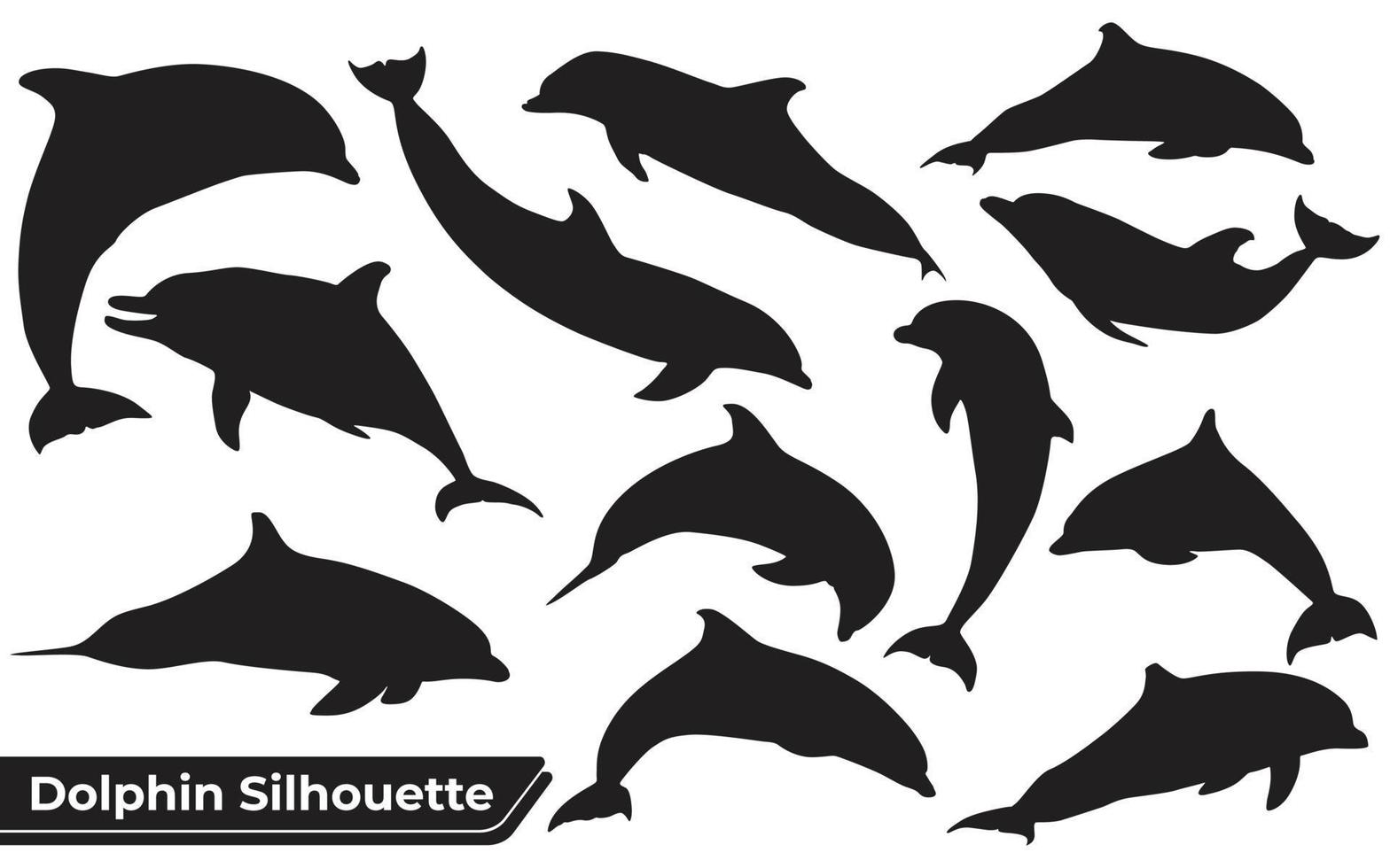 colección de delfines animales en diferentes posiciones. vector