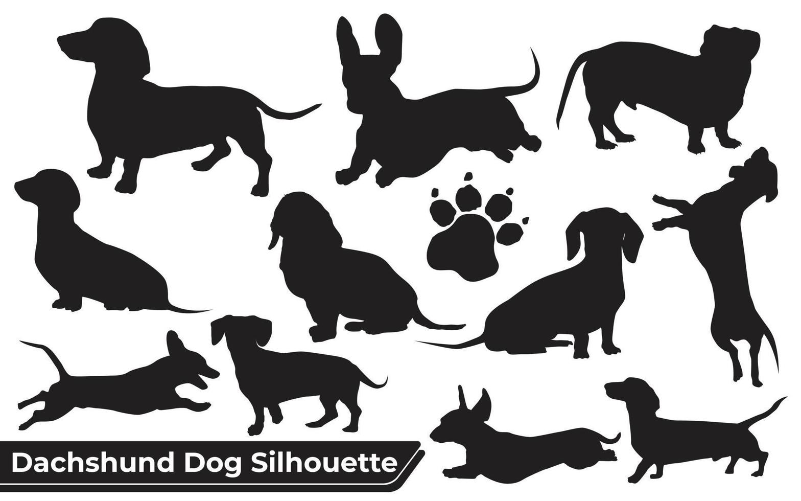 Colección de perro dachshund animal en diferentes posiciones. vector