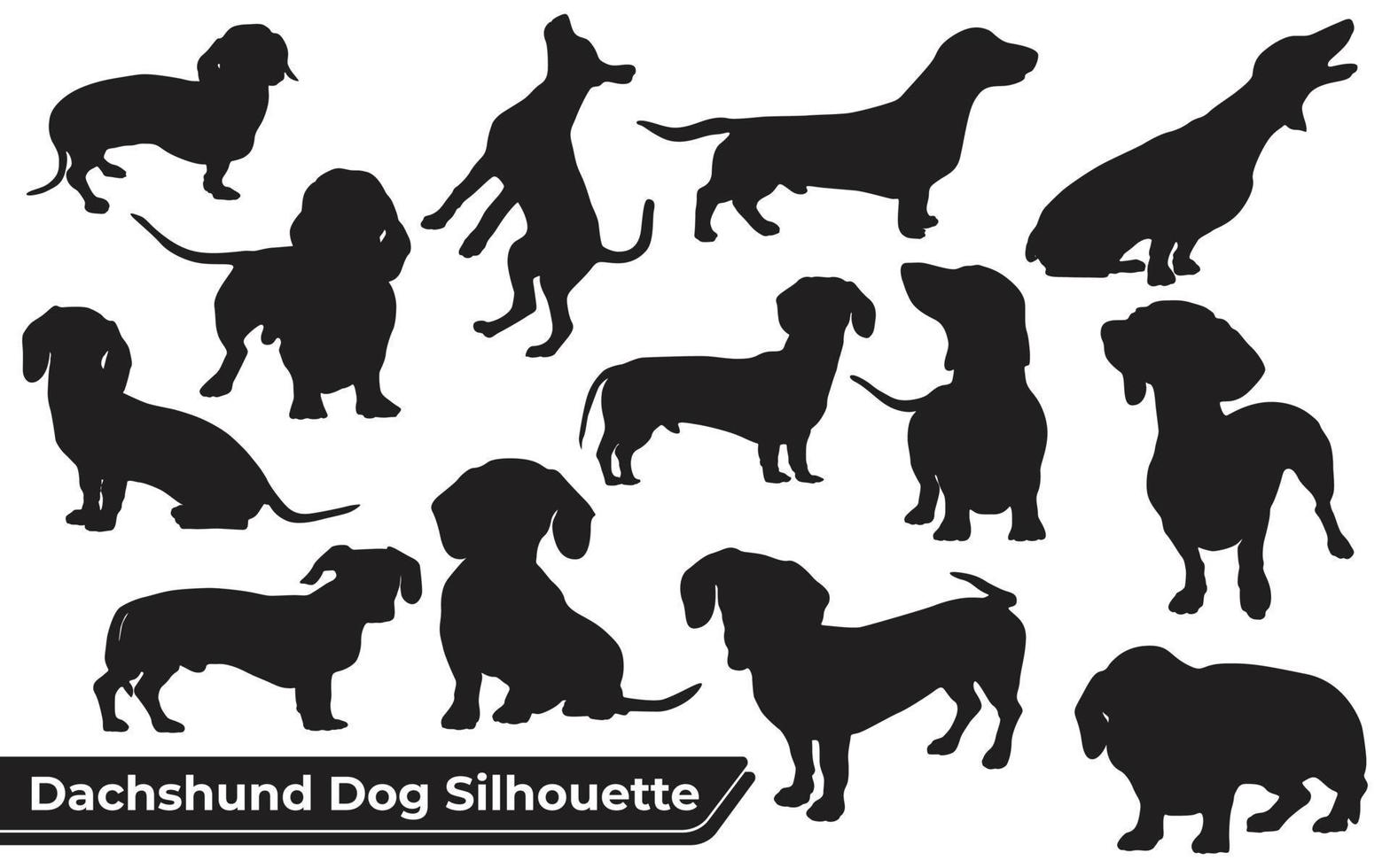 Colección de perro dachshund animal en diferentes posiciones. vector