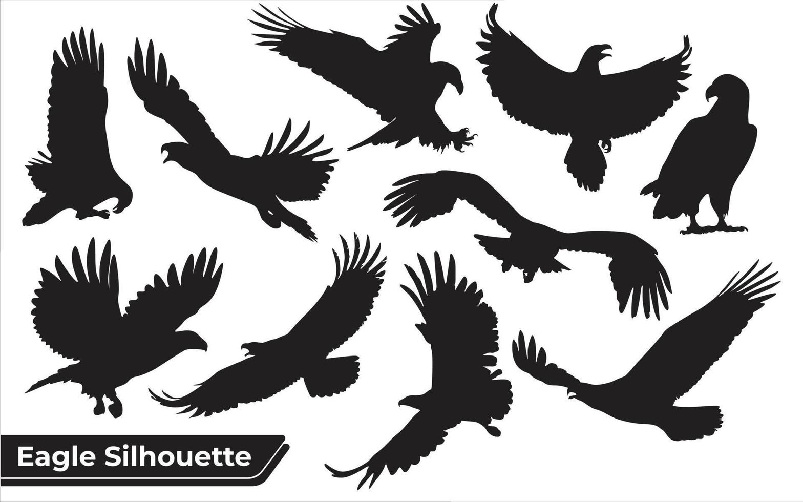 Collection of bird eagle silhouettes in different positions vector