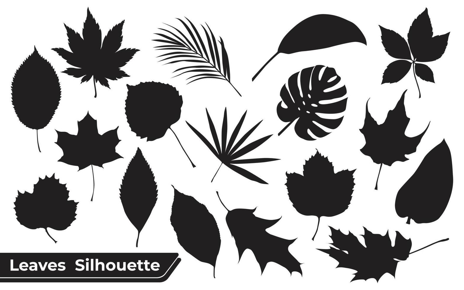 Collection of Different types of Leaves silhouettes vector