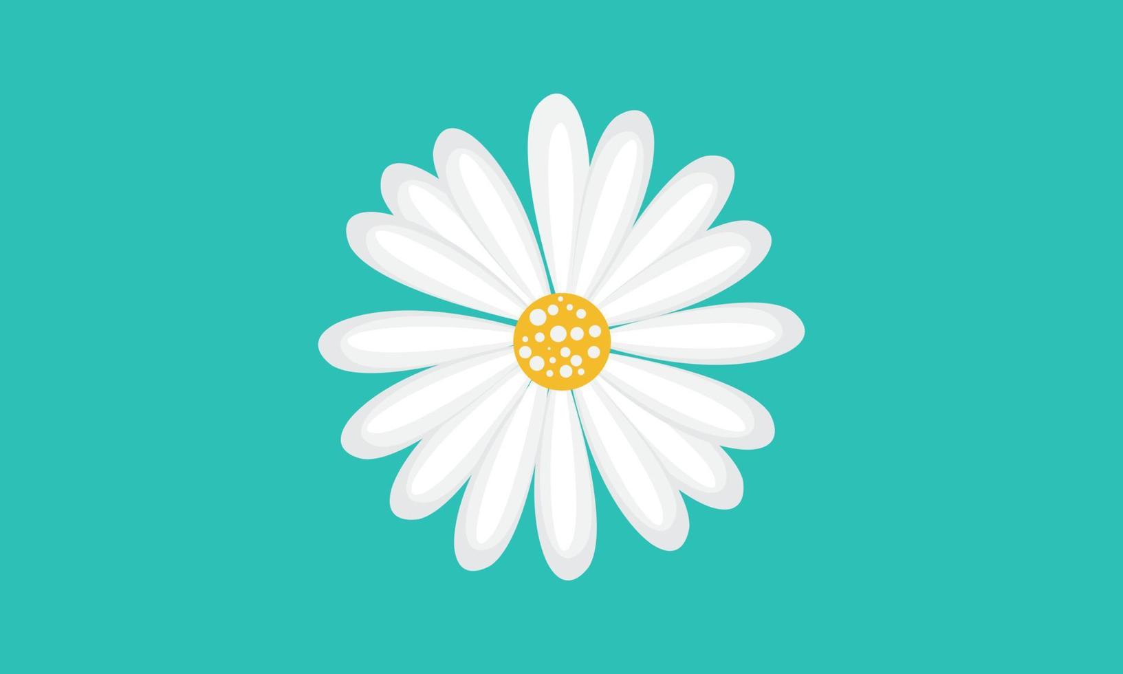 Ilustración de vector de flor de manzanilla sobre fondo blanco. icono creativo.