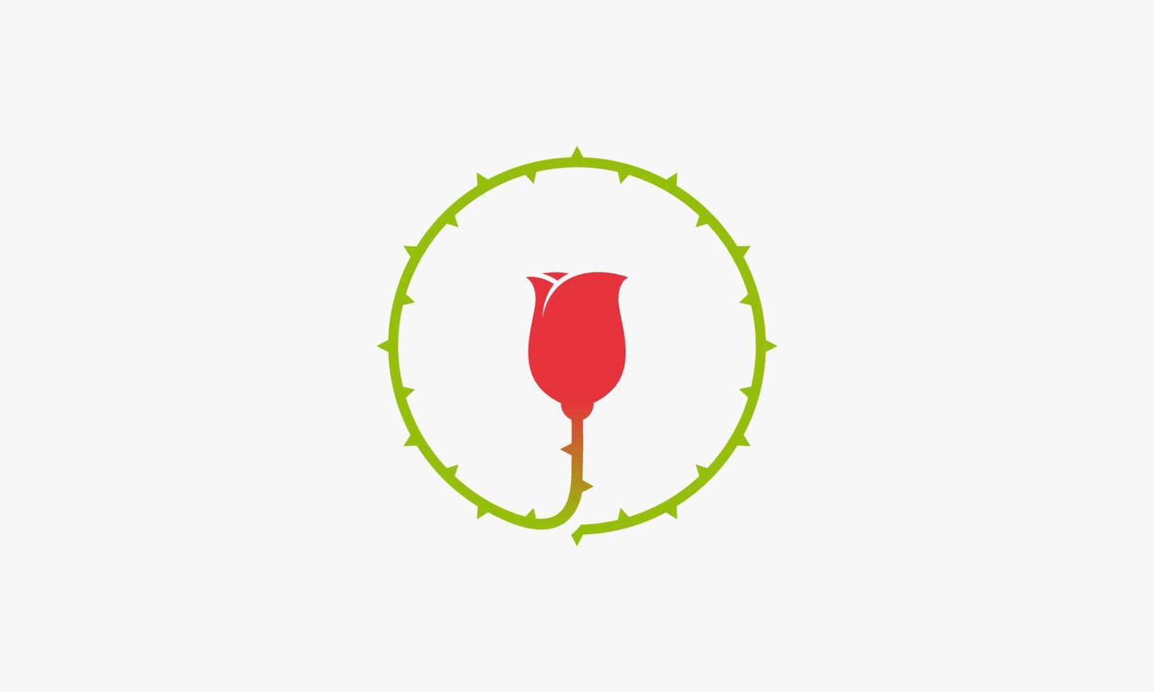 a rose with round thorny stems vector illustration. creative icon. isolated on white background.