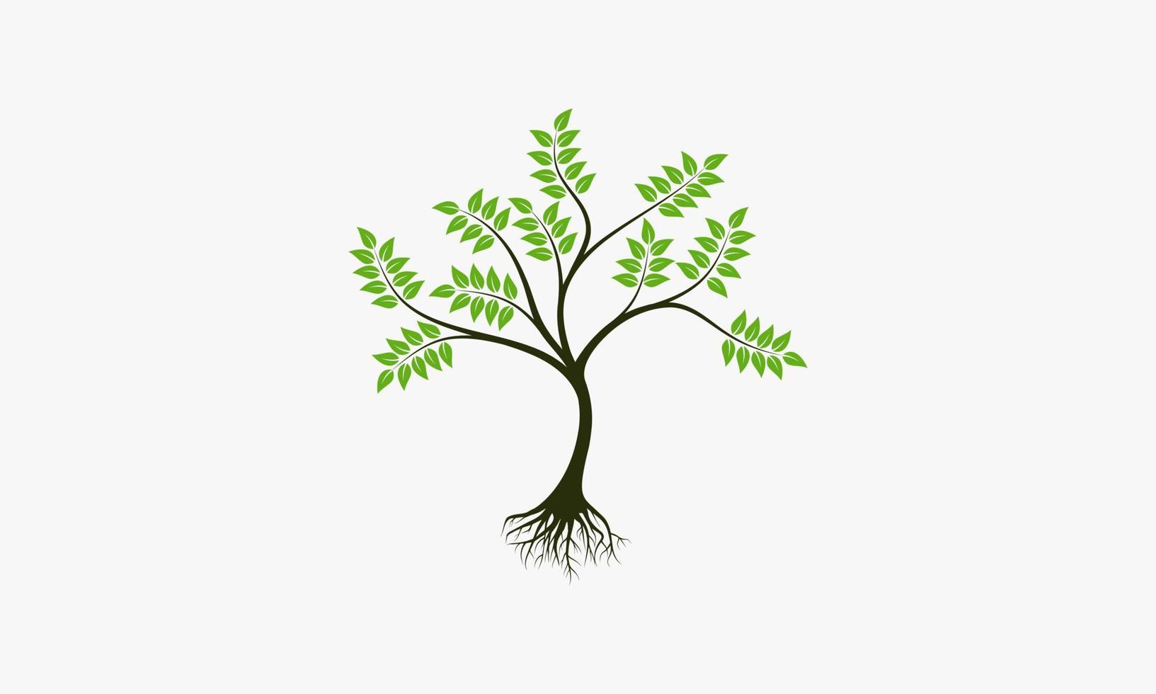 Ilustración de vector de raíces de árbol de naturaleza sobre fondo blanco. icono creativo.