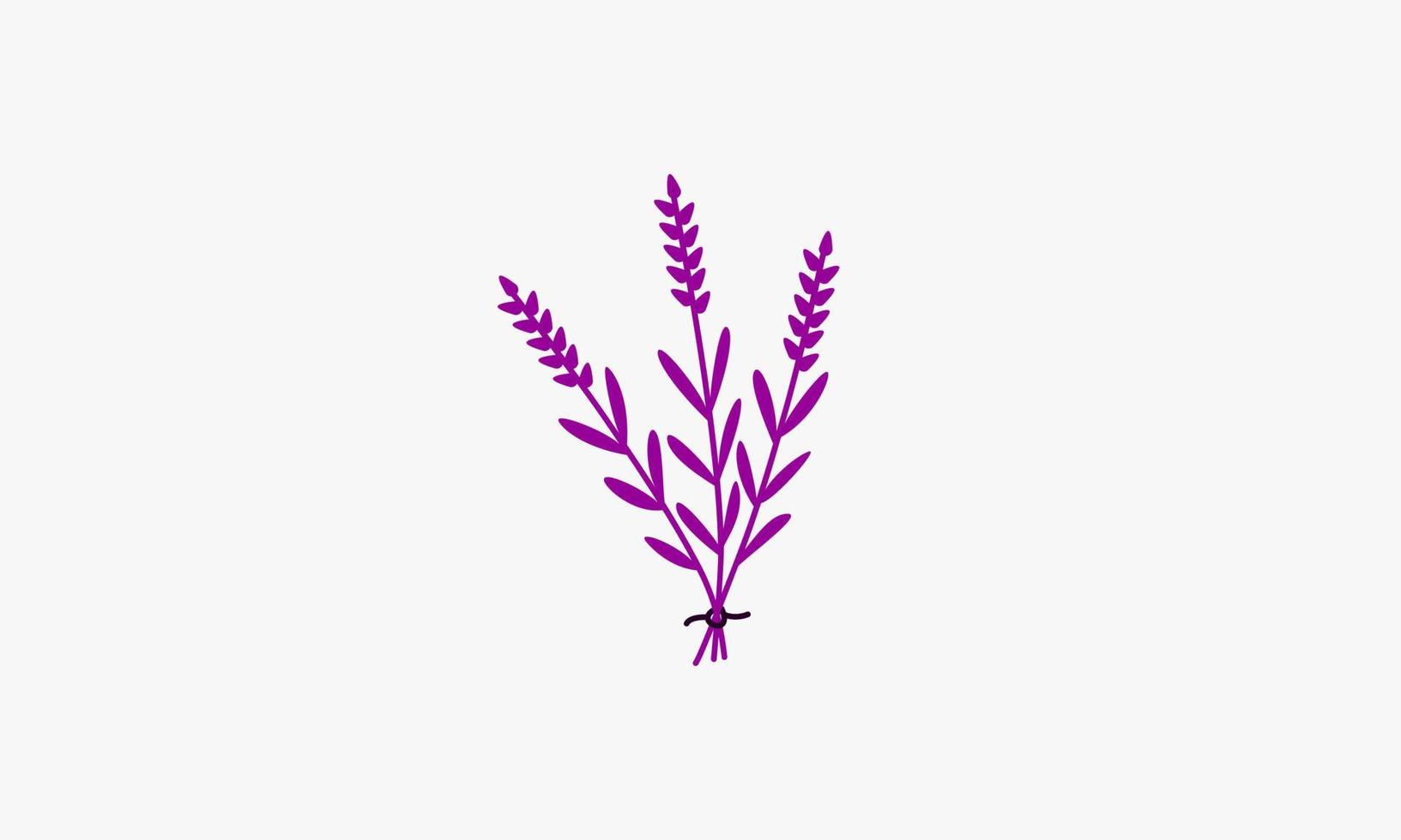 manojo de flores de lavanda ilustración vectorial. vector