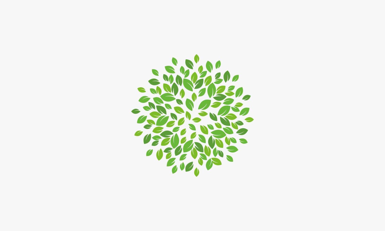 Ilustración de vector de diseño de hoja de follaje verde.