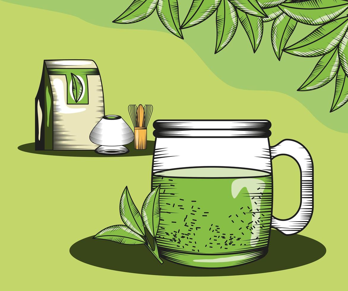 té matcha verde orgánico vector