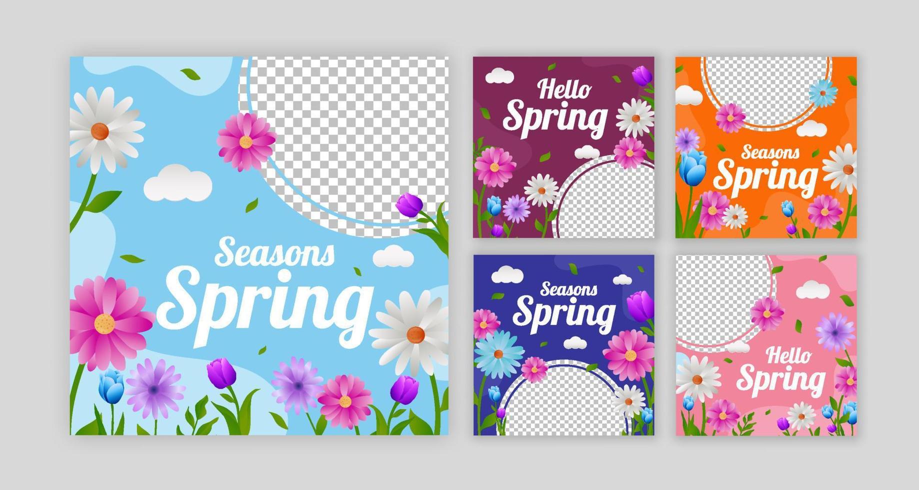 Collection Set Floral Tulip Spring Post vector