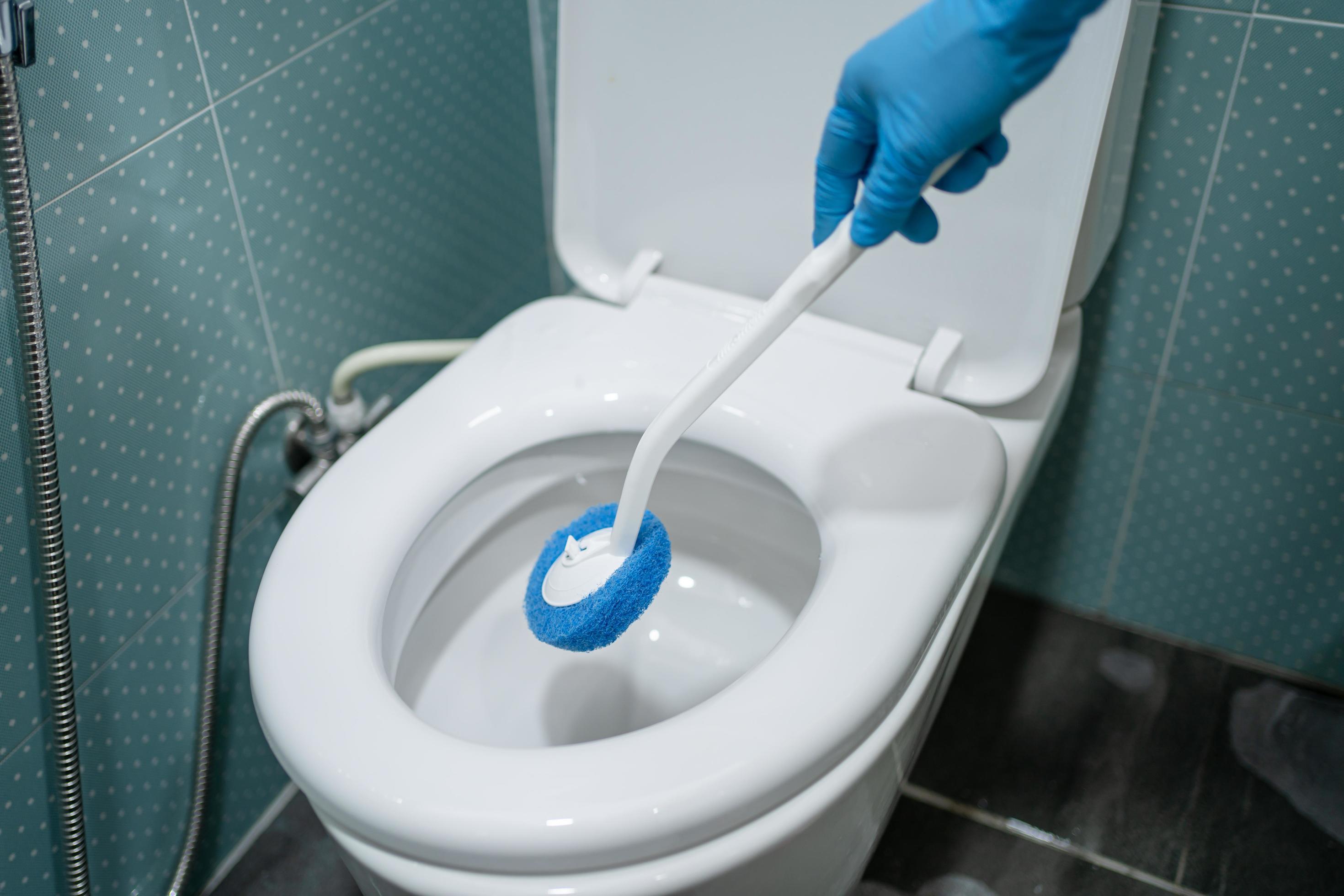 В ванной раковины унитазы чистят сколько раз. Щетка для унитаза. Уборка унитаза. Clean Toilet.