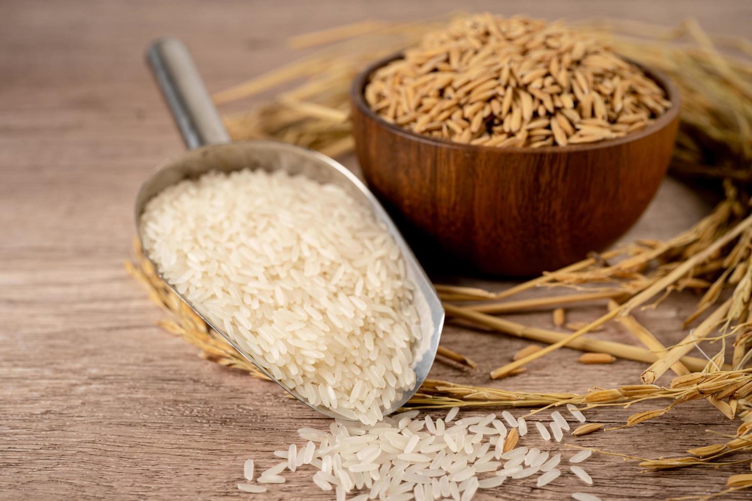 Jasmine white rice in wooden bowl with gold grain from agriculture farm. photo