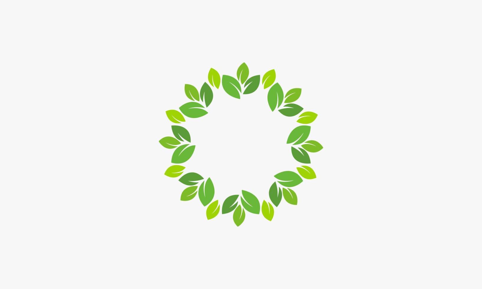 circular foliage. vector illustration. vector illustration.