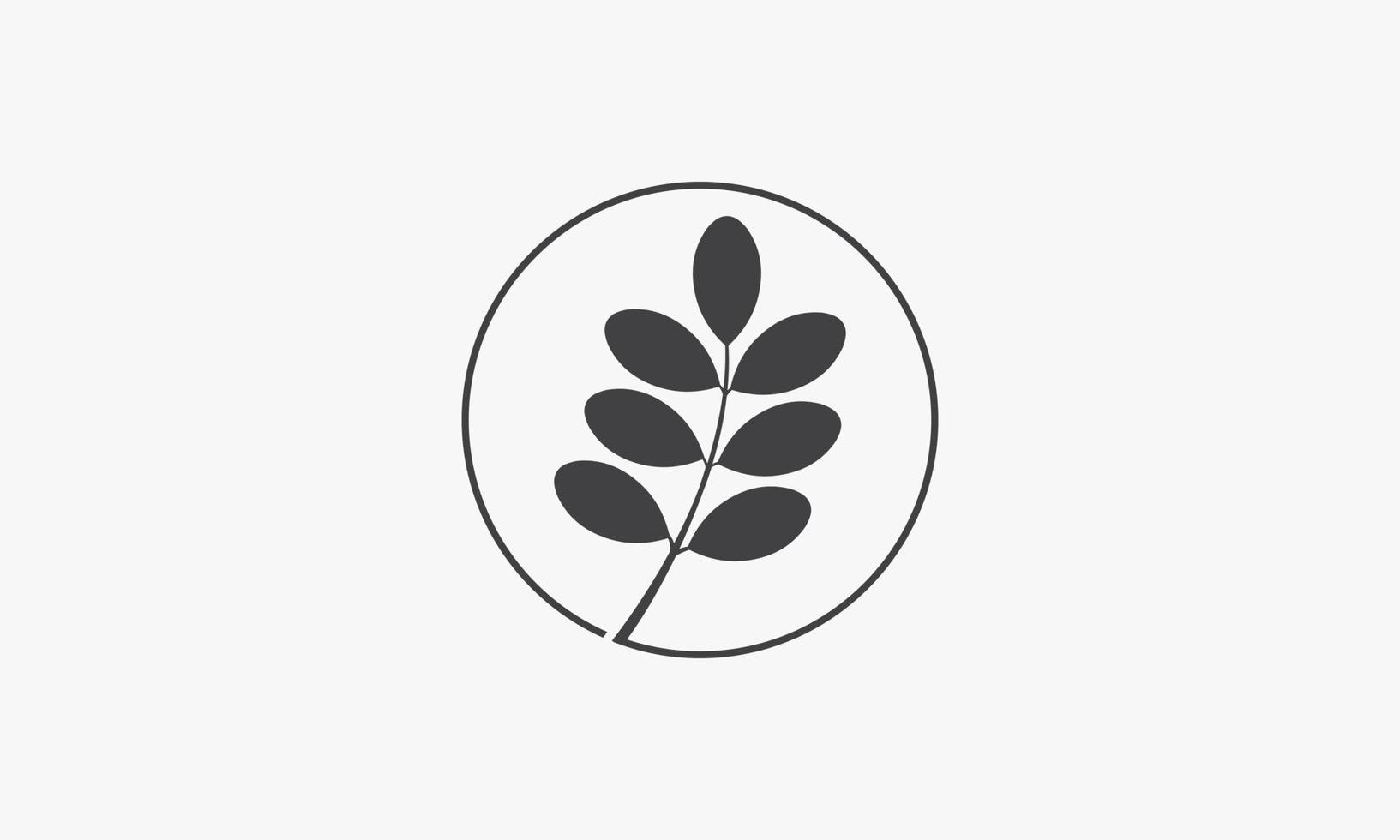 circle with leaf moringa vector illustration on white background. creative icon.