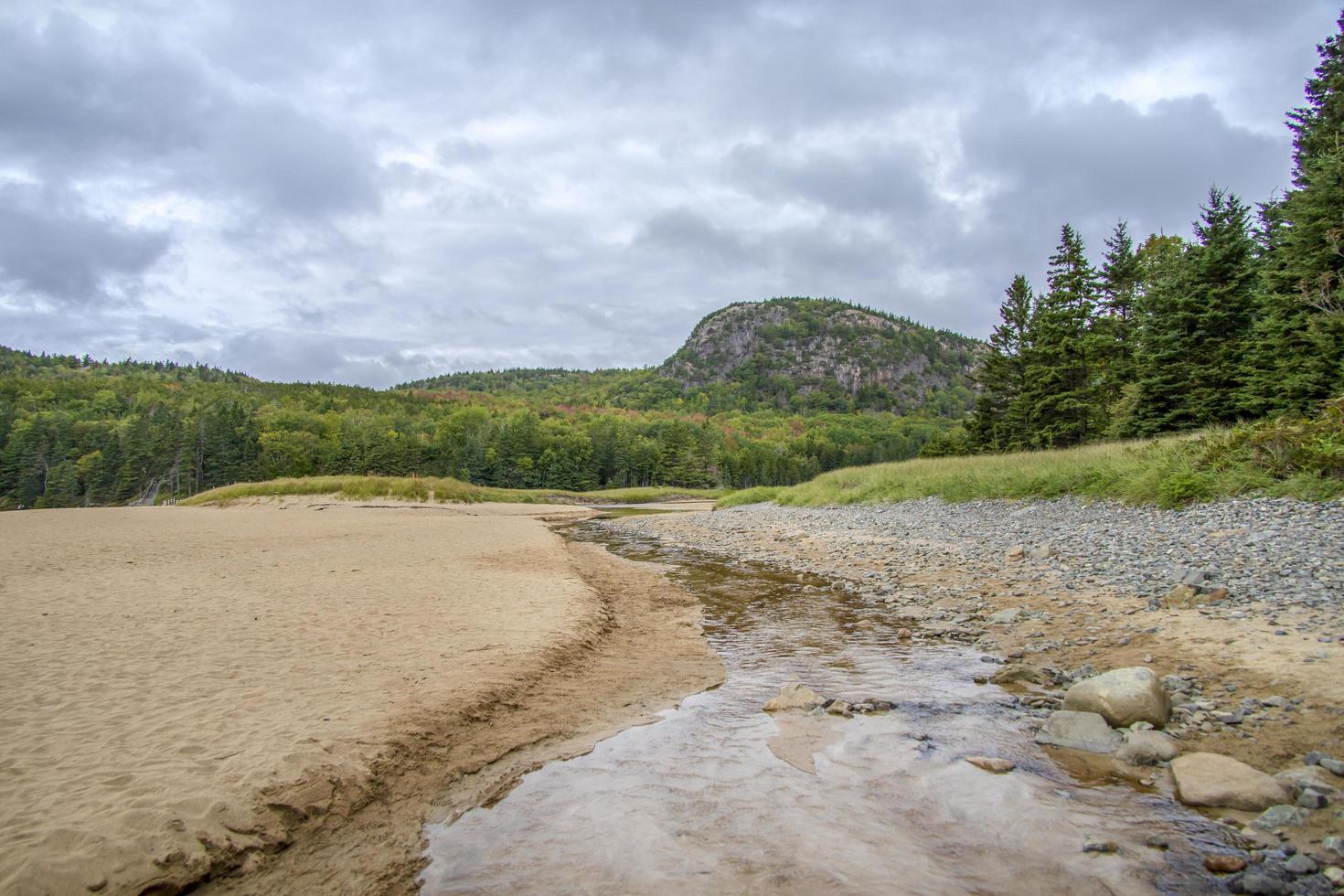 Stream flowing in the middle of a colorful forest photo