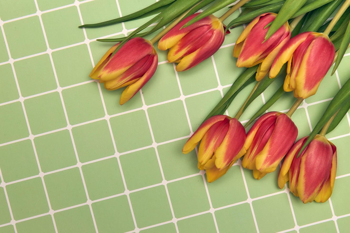 Floral background with copy space. Flat-lay frame of tulips. Womens day, mothers day greeting card photo